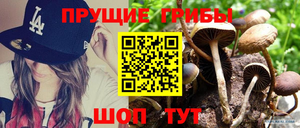 Псилоцибиновые грибы мицелий Нефтеюганск